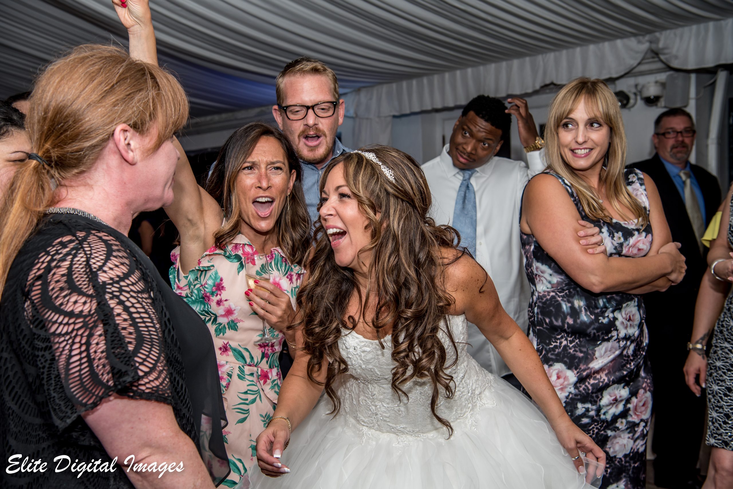 EliteEntertainment_NJWedding_EliteDigitalImages_OldeMillInn