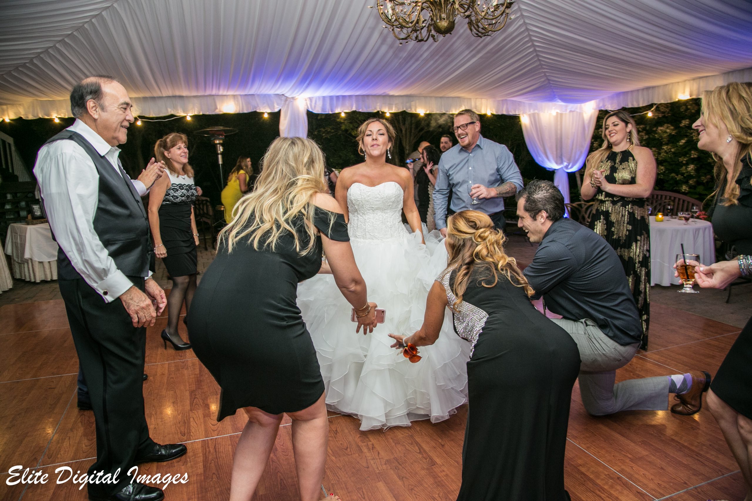 EliteEntertainment_NJWedding_EliteDigitalImages_OldeMillInn