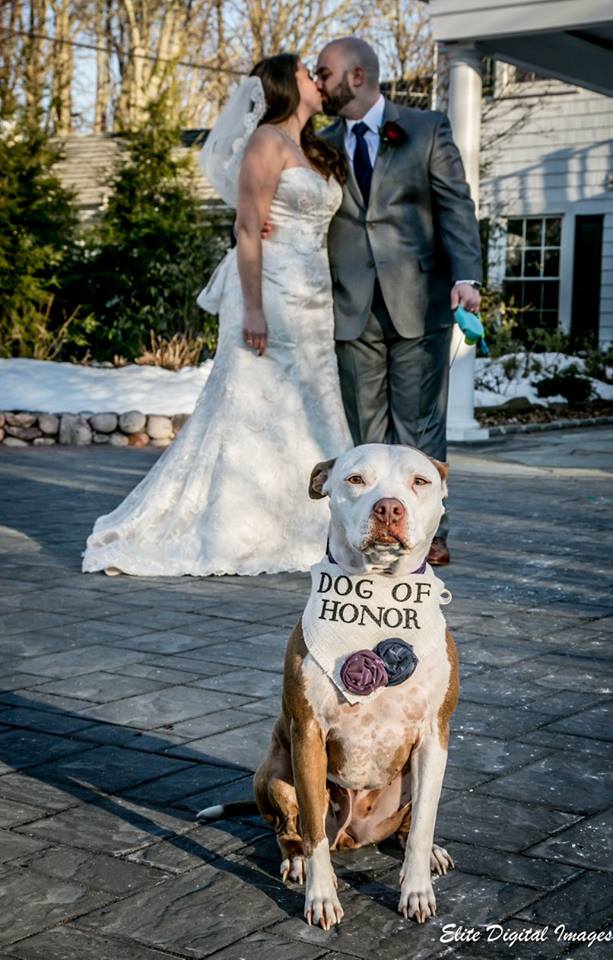 Elite Entertainment_ NJWedding_ EliteDigitalImages_EnglishManor_Jackie and Rob 3