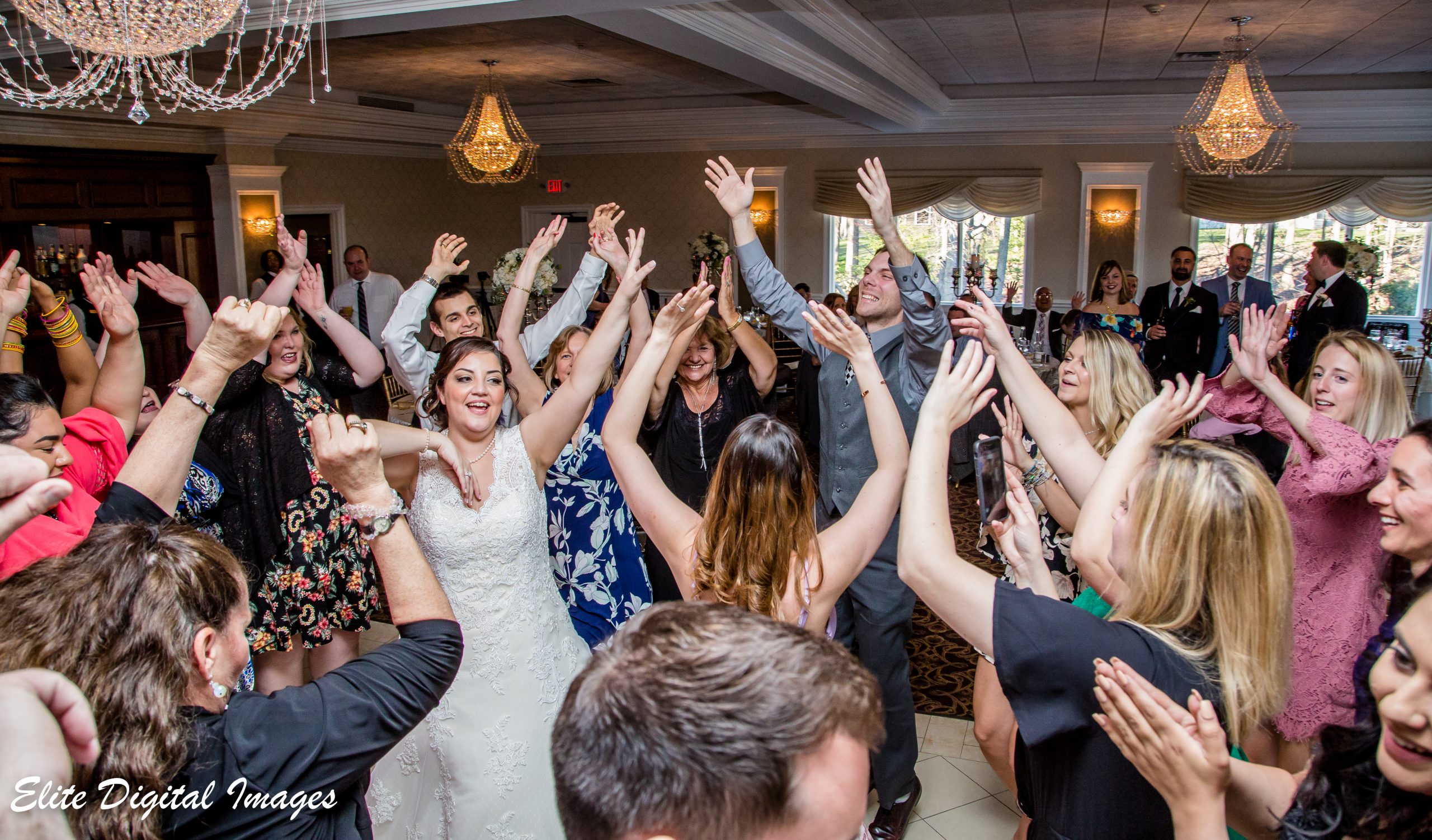 Elite Entertainment_ NJWedding_ EliteDigitalImages_EnglishManor_Danielle and Michael (3)