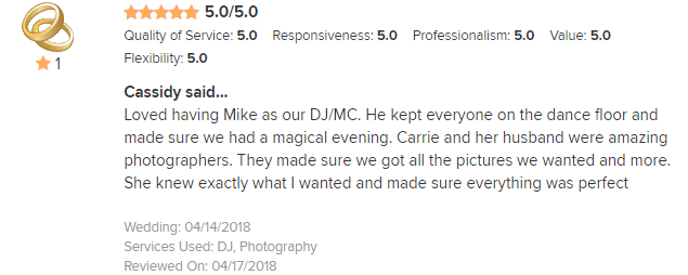 EliteEntertainment_WeddingWireReview_NJWedding_MikeWalter 2018 4-14-18