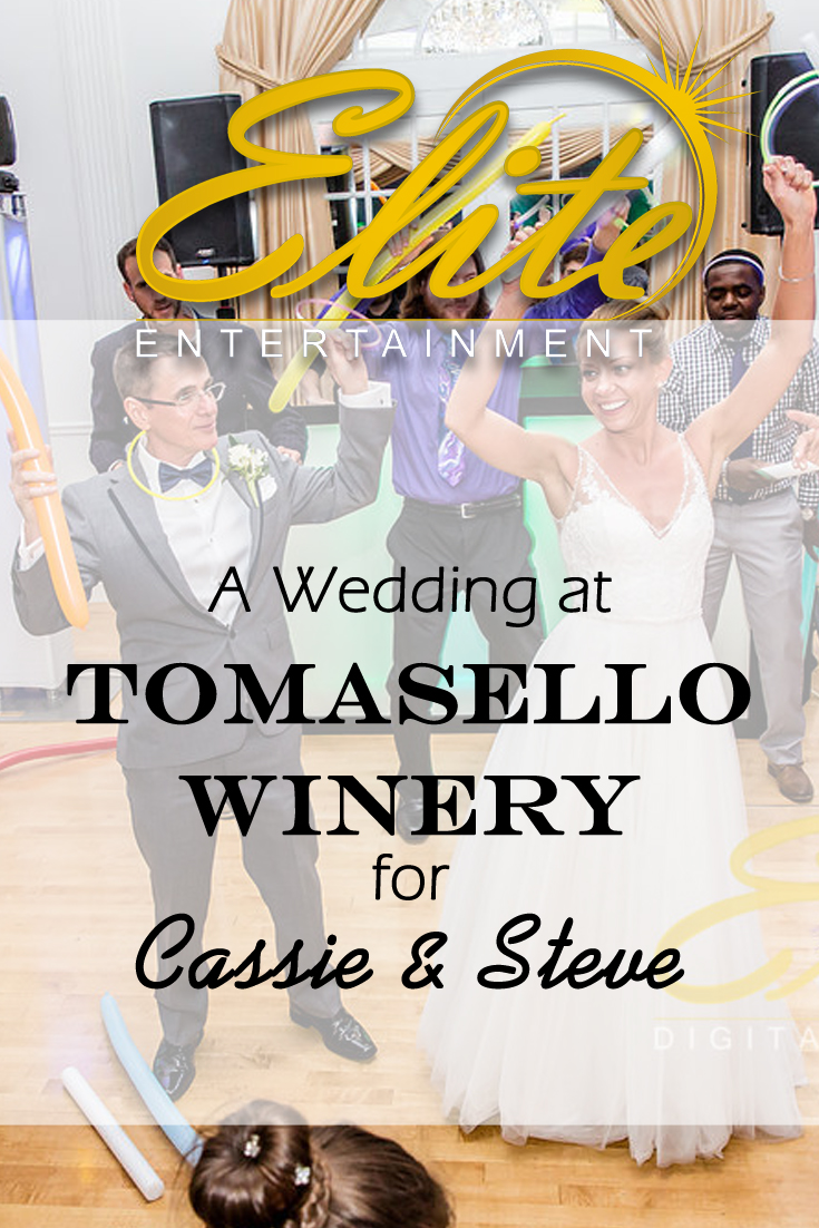 pin - Elite Entertainment - Wedding at tomasello winery for cassie and steve