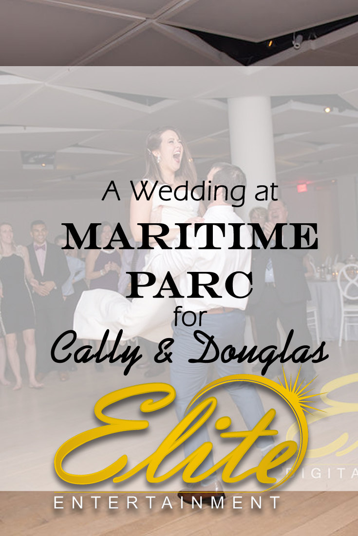 pin - Elite Entertainment - Wedding at Maritime Parc with Cally and Douglas