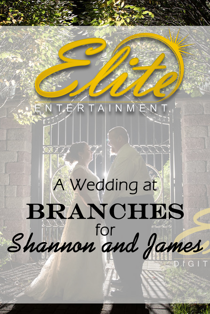 pin - Elite Entertainment - Wedding at Branches for Shannon and James